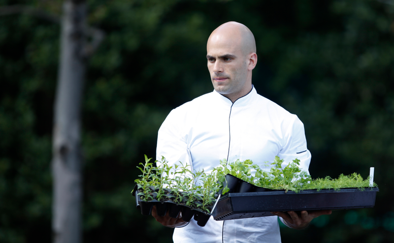 Illustration for article titled Farewell to Sam Kass, Resident White House Hottie